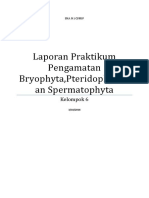 Laporan Praktikum Bryophyta Pteridophyta Spermatophyta