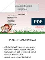 Asimilasi C Dan N