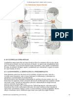 As Glândula Supra-Renais - Funções, Saúde e Exercícios PDF