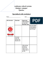 Work Sheet For Specialized Cells