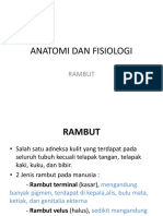 Anatomi Dan Fisiologi Rambut-1