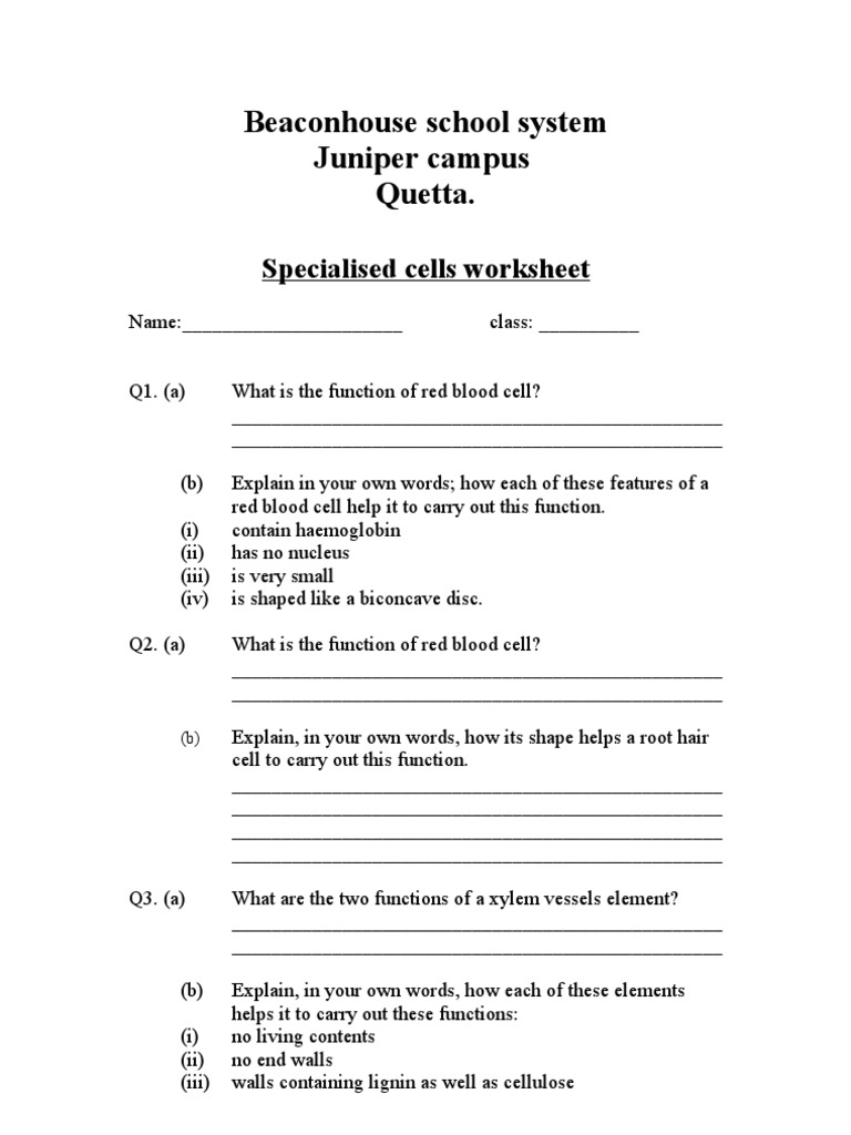 specialized cell worksheet 2