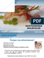 Lab Gastronomia Molecular 2016