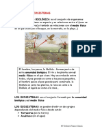 Tema 5 Los Ecosistemas PDF