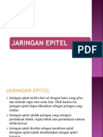 Jaringan Epitel