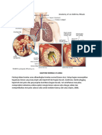 Anatomi Normal Vs Asma