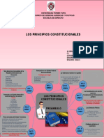 Principios Constitucionales