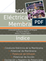 Conducta Eléctrica de La Membrana