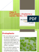 Clase 3 Protoplasto Citoplasma Nucleo 1