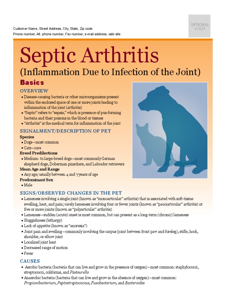 Septic Arthritis PDF Antibiotics Arthritis