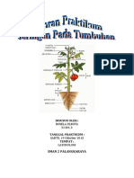 Laporan Praktikum Jaringan Pada Tumbuhan