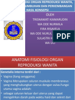 Anatomi Fisiologi Organ Reproduksi Wanita, Konsepsi