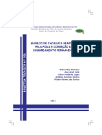 Cacauais seminais: técnicas de poda e sombreamento para formação e reabilitação