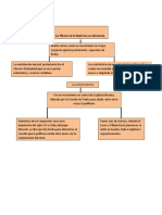 La Reforma en Alemania