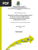 APRESENTAÇÃO DO MESTRADO.ppt