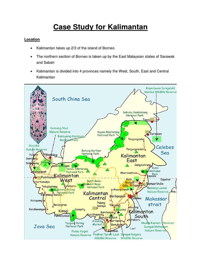 Effects of deforestation case study picture