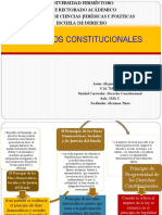 Principios Constitucionales