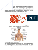 Pendekatan Baru Penanganan Anemia