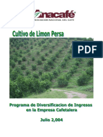 Cultivo de Limn Persa.pdf