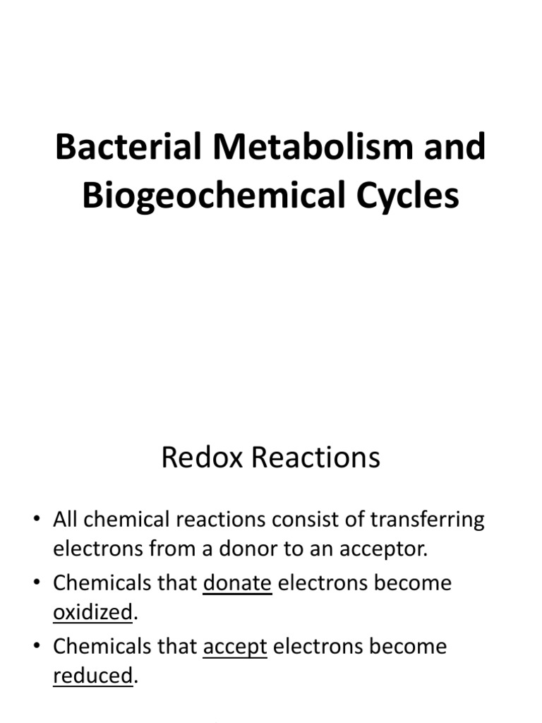 Bacterial Metabolism and Redox Cycles | PDF | Cellular Respiration ...