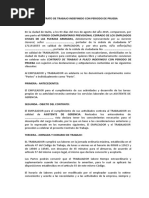 Contrato de Trabajo Indefinido Con Periodo de Prueba Solari
