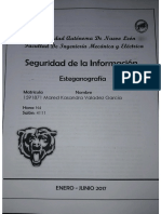 EjerciciosEsteganografia(rev).pdf