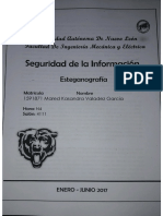EjerciciosEsteganografia (Rev) PDF
