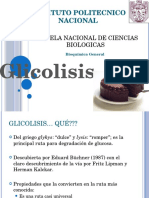 13. Glicolisis
