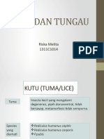 Kutu Dan Tungau