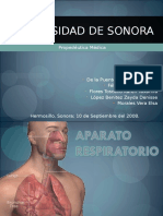 UNISON Respiración Anatomía