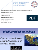 Biodiversidadenmxicoelcasodelajolote 150925025156 Lva1 App6891