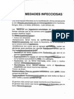 ICS Profetas