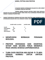 Asam Amino, Peptida Dan Protein