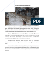 Bencana Banjir Akibat Kerusakan Parah DAS Ciliwun1