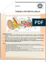 Lembar Kerja Siswa PPL K. 13 (1) Fiks 2.3