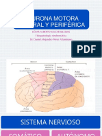 Neurona Motora Central y Periférica