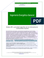 api_gravespecifica_correc.xtempdocx.pdf