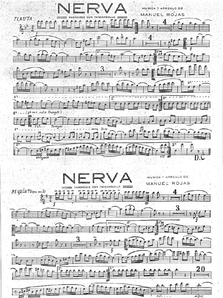 Nerva (Partes) | PDF