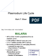 Plasmodium Life Cycle: Mark F. Wiser