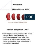 CKD PENYULUHAN