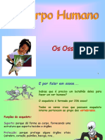 os-ossos.ppt