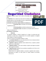 Seguridad Ciudadana