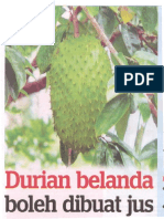 Durian Belanda 1