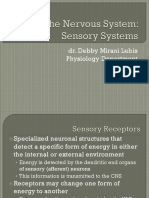 The Nervous System-Sensory
