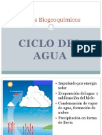 Ciclos Biogeoquímicos