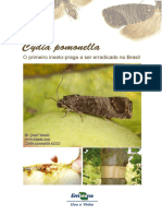 cydiapomonellaoprimeiroinsetopragaerradicado