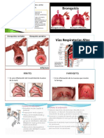 Vias Respiratorias Altas