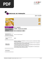 ANQ-TV_Referencial.pdf