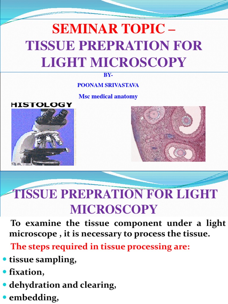 Original PDF Fixation (Histology) Staining
