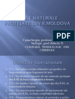 ariile naturale protejate.pptx